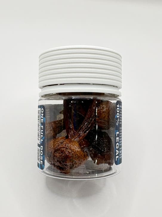 Blaze: Mad Honey Shrooms 15 Grams - Image 2